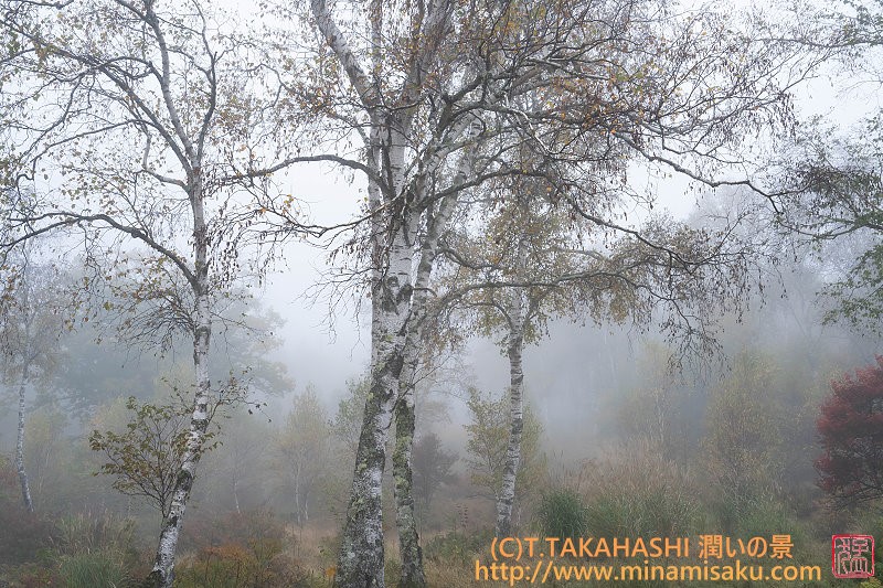 ../Images/7R251019 (64).jpg